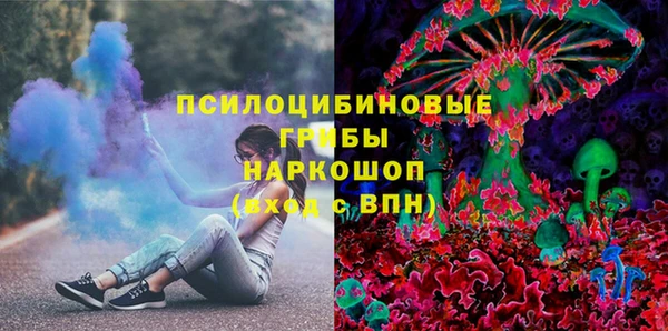 PSILOCYBIN Каменногорск