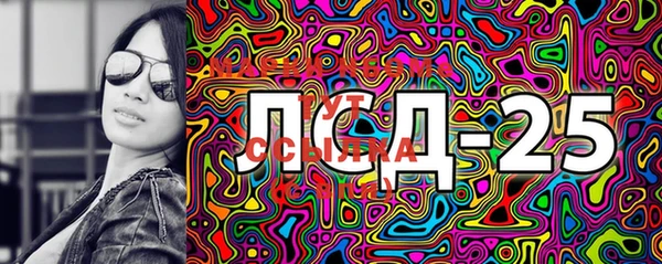 PSILOCYBIN Каменногорск
