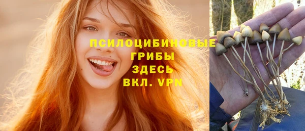 PSILOCYBIN Каменногорск