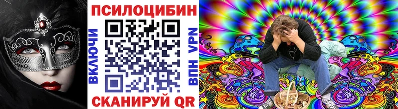 Псилоцибиновые грибы Psilocybe  Купить где  Красавино 