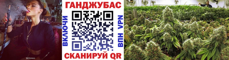 Конопля планчик Красавино